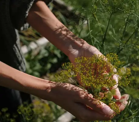 connection with nature