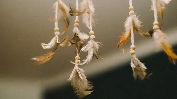 mayan feather meaning