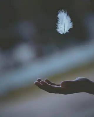 feathers and angels