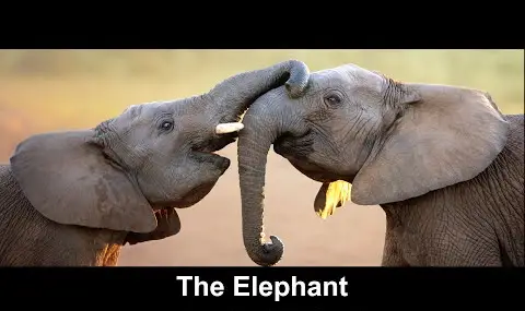 Přehrávač YouTube