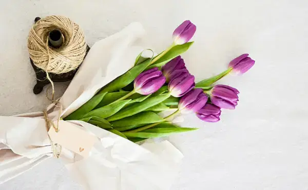 Como se livrar da desordem sentimental