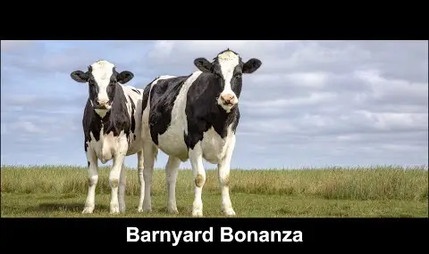 „YouTube“ grotuvas