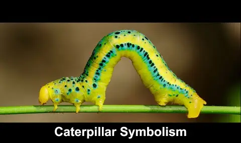 Přehrávač YouTube