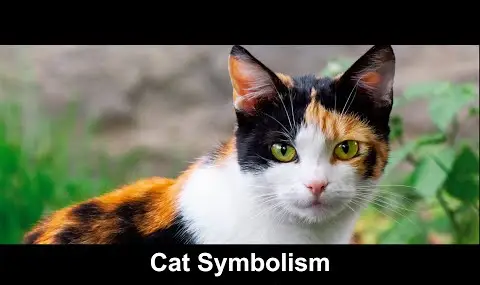 Přehrávač YouTube