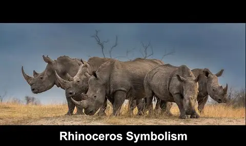 Přehrávač YouTube