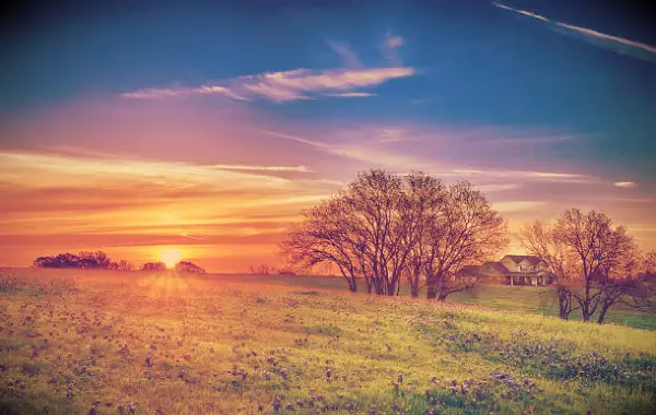 A spring timer sunrise with flowers in the foreground.