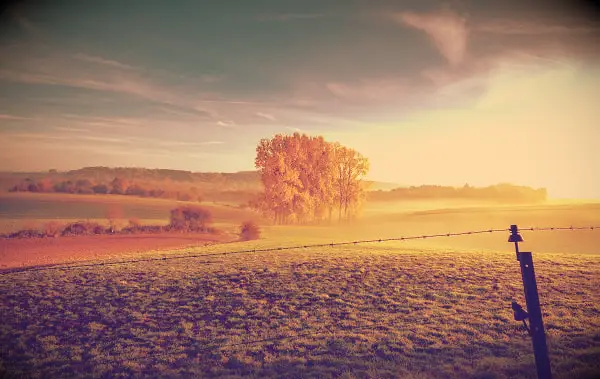 New Day Quotes for a Fresh and Energy Boosting Start to Your Day