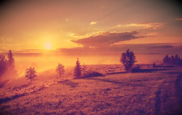 Regret Quotes to Help You Let Go and Move on With Your Life