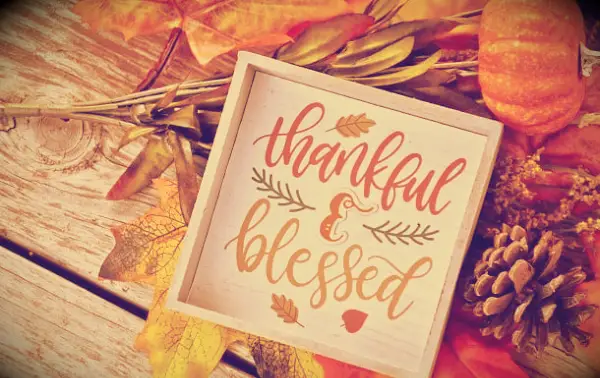 Thankful Thursday Quotes to Inspire and Help You Express Your Gratitude