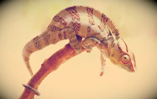 Hang in There Quotes to Renew Your Hope and Energy When You Need It