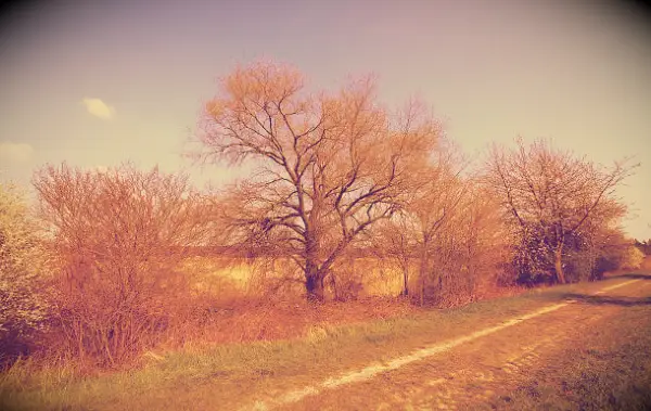 90 Březen citace pro inspirativní, motivační a pozitivní začátek jara