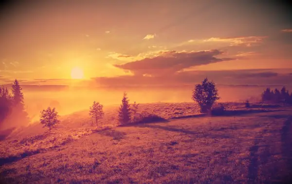 An image of a sunrise.