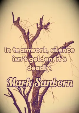 A teamwork quote by Mark Sanborn.