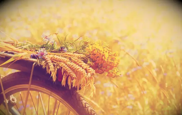 85 Citations courtes de juillet: Dictons positifs, beaux et drôles à accueillir ce mois d'été