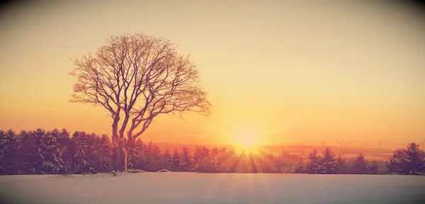 A sunrise in January over a cold and snowy landscape.