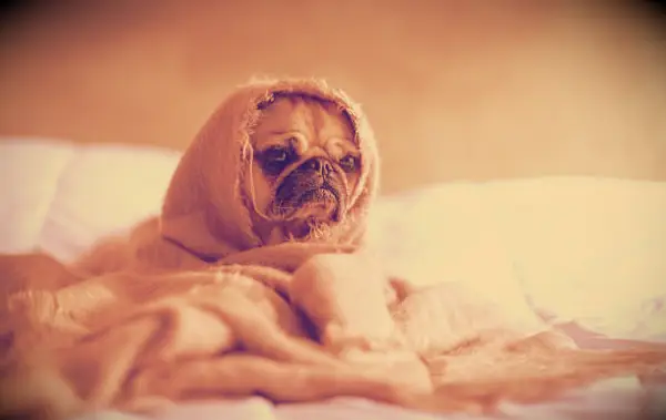 Tired Quotes You Can Relate to (But Also Get a Boost of Energy From)