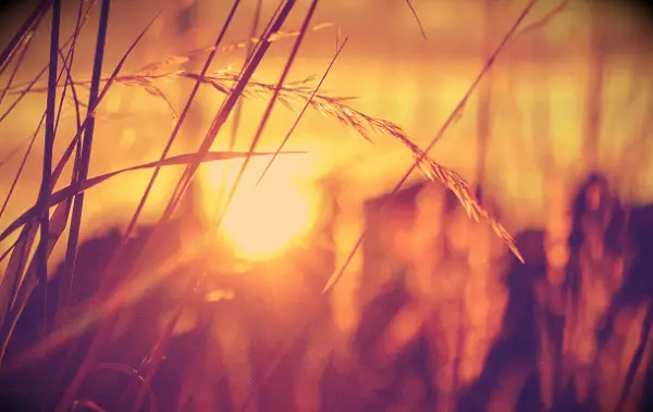 Sådan overvindes frygt: 6 kraftfulde strategier, du kan begynde at bruge i dag