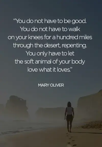 7 coisas que estão entre você e a alegria