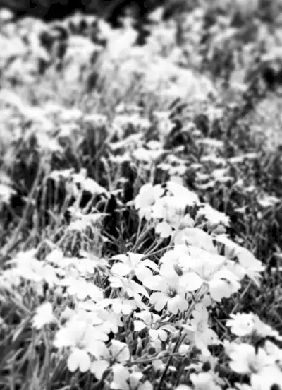 A diferença entre simplicidade e minimalismo